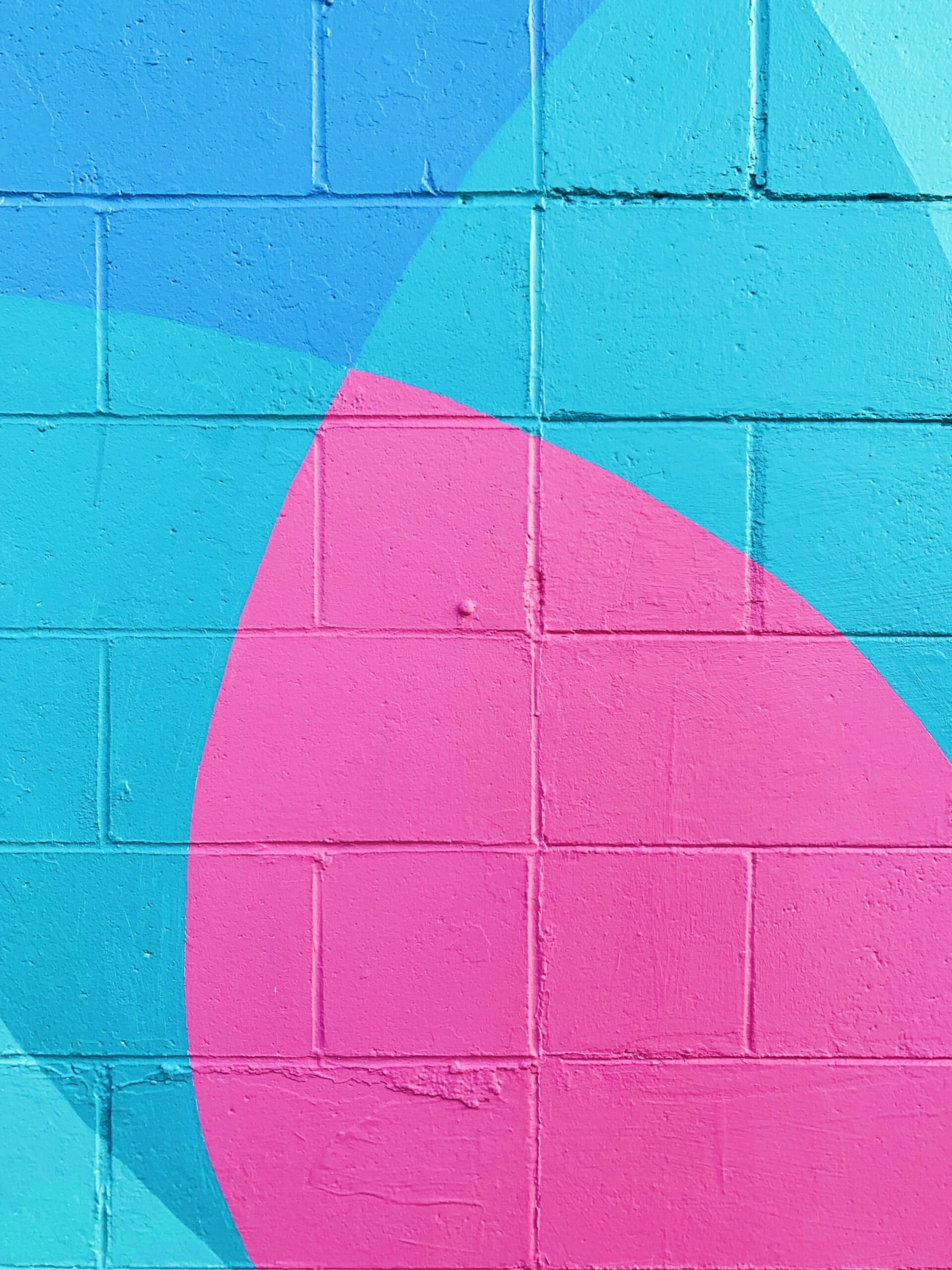 closeup photo of teal and pink wall